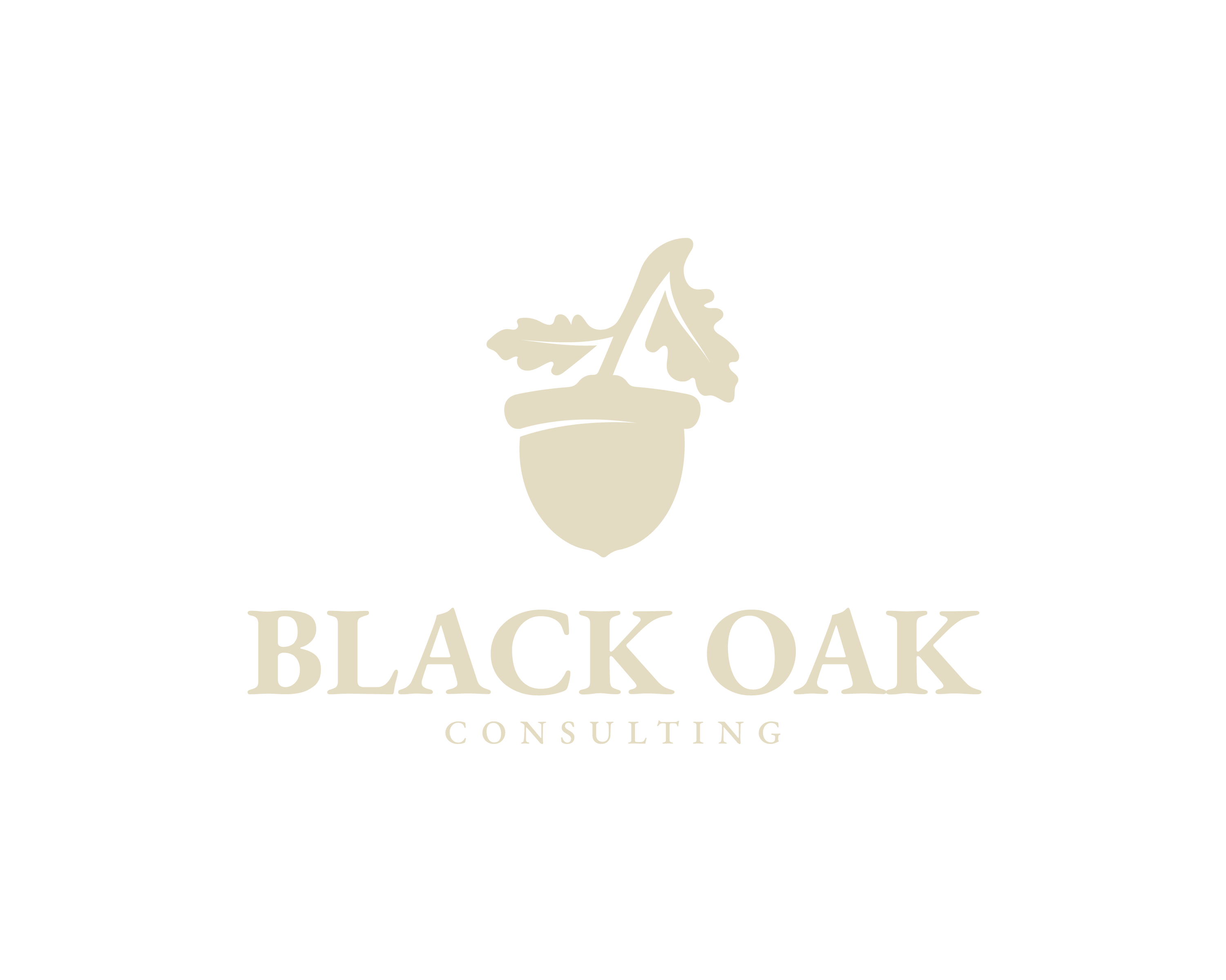 Black Oak Consulting